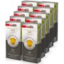 Capsule Compatibili Nespresso®* Qualità Oro - pz. 100